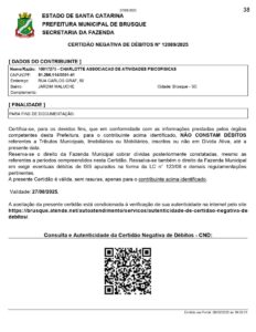 Prestacao_de_contas_Escola_Charlotte_-_Empenho_11374-2-_Termo_006_-_FIA_2025 (1) (1)_page-0038